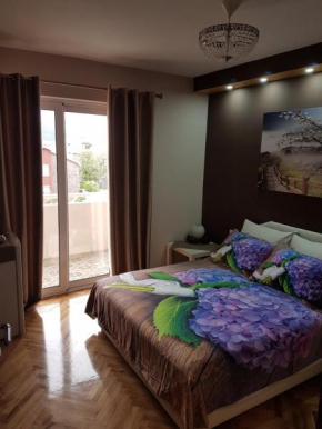 Отель Apartments Vila Galileo  Будва